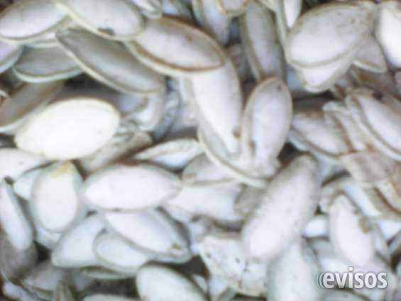 Vendo semilla de pepitoria en Ciudad de Guatemala Otros Servicios